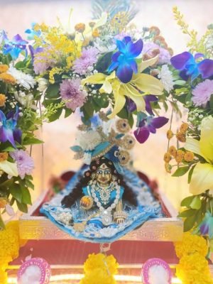 WhatsApp Image 2026-03-01 at 11.02.34 PM