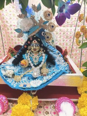 WhatsApp Image 2026-03-01 at 11.02.35 PM (1)