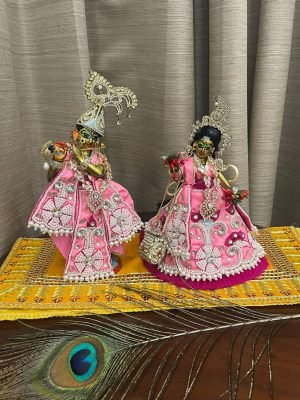 WhatsApp Image 2026-03-01 at 11.02.37 PM